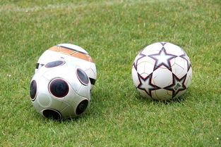 kaiyun中国官方网站-未来足球市场：数字资产与足球产业的融合，足球概念数字货币